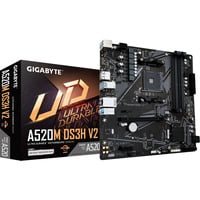 A520M DS3H V2, Mainboard