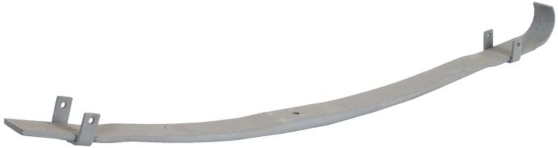 Federblatt TES 7303000219