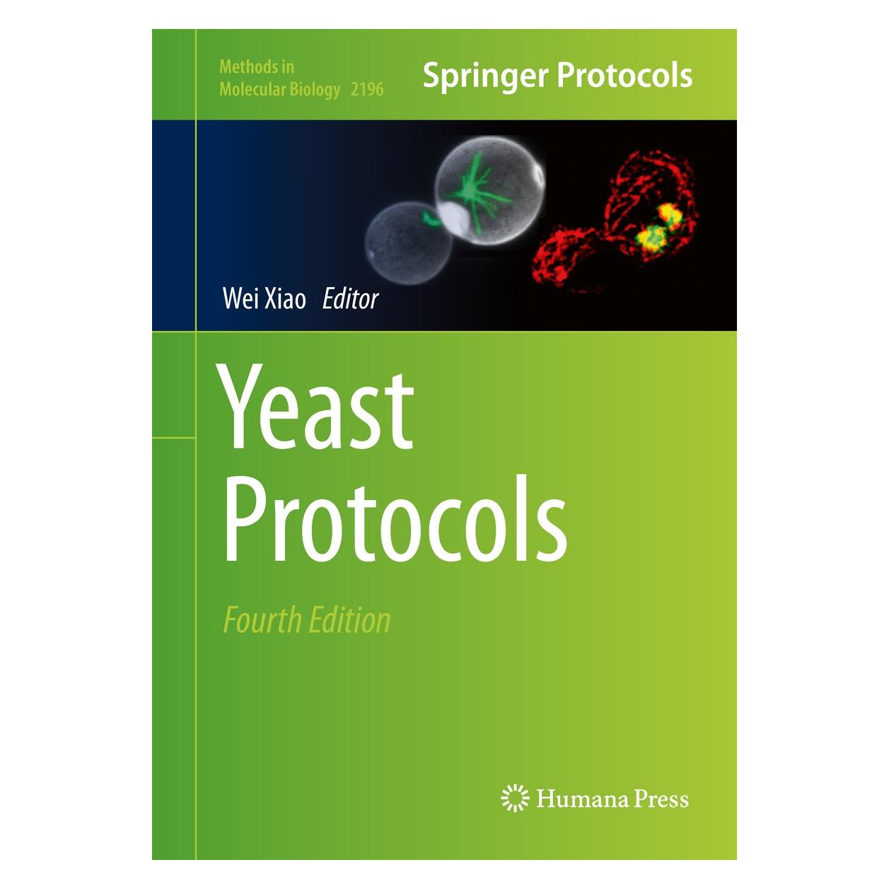 Springer Yeast Protocols (Englisch, Hardcover, Wei Xiao) (9781071608678)