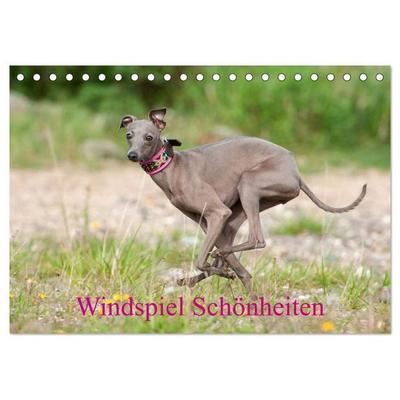 Windspiel Schönheiten (Tischkalender 2027 DIN A5 quer), CALVENDO Monatskalender