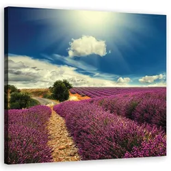 WANDBILD landschaften lila