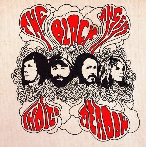 the Black Angels - Indigo Meadow (Incl.Mp3 Code/180 Gr.) [Vinyl LP] [Vinyl LP] - Preis vom 13.10.2026 19:28:25 h