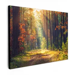LEINWANDBILD Wald - Herbst - Bäume Wandbilder 80x60 cm