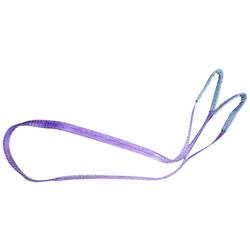 Target Ladungssicherung 90500 Hebeband Arbeitslast (WLL)=1 t Violett