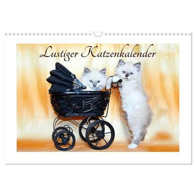 Lustiger Katzenkalender (Wandkalender 2027 DIN A3 quer), CALVENDO Monatskalender