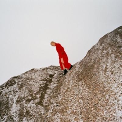 Reward - Cate Le Bon, Vinyl