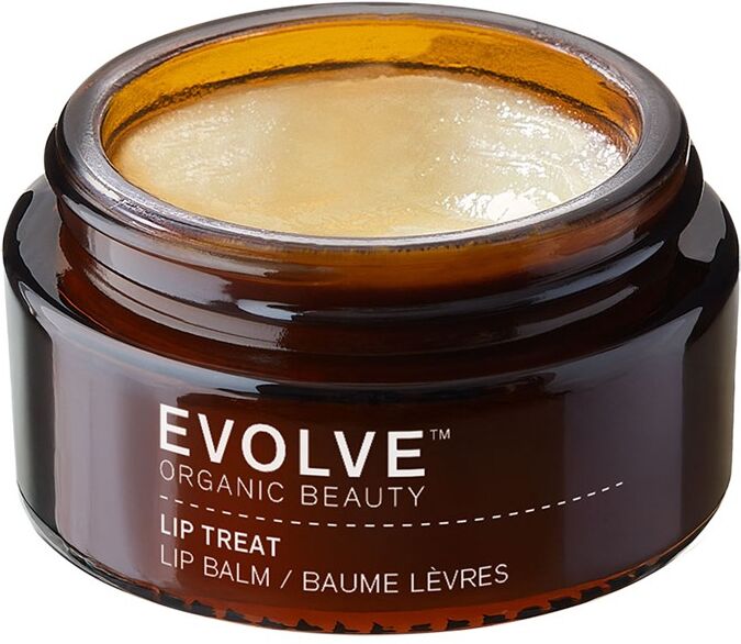 Evolve Beauty Evolve Organic Beauty Lip Treat 15ml