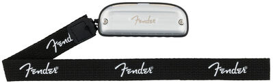 Fender Blues Junior Diatonic 8H G
