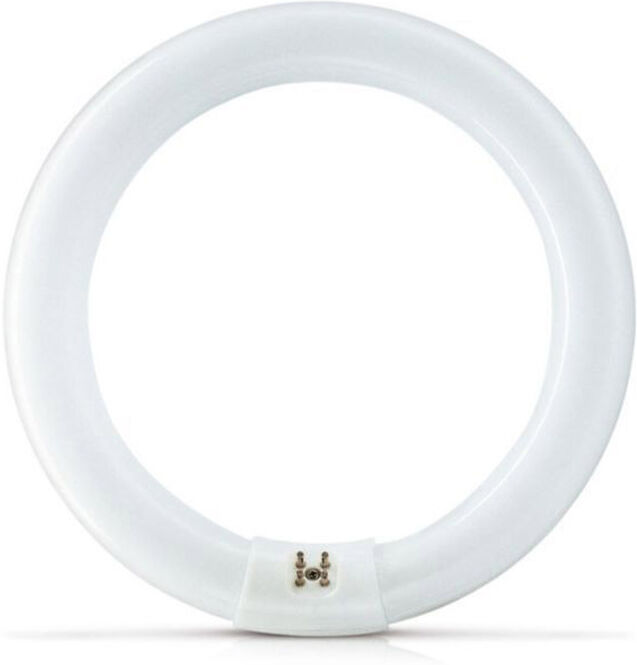 Philips Actinic Bl Tl-E 22w/10 1ct/20 Insektenlampe 22w Actinic G10q Ring