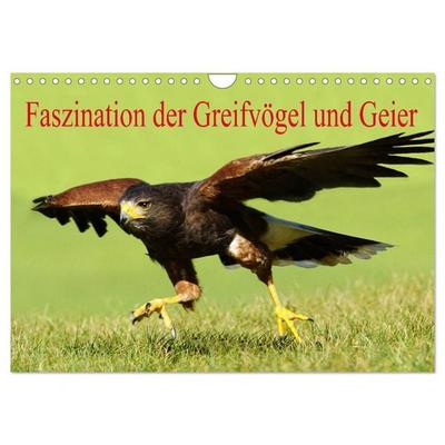 Faszination der Greifvögel und Geier (Wandkalender 2026 DIN A4 quer), CALVENDO Monatskalender