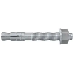 fischer Bolzenanker FBN II 10/10 K