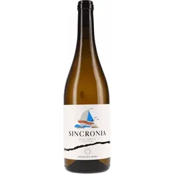 Sincronia Blanc Mesquida Mora 2025 BIO