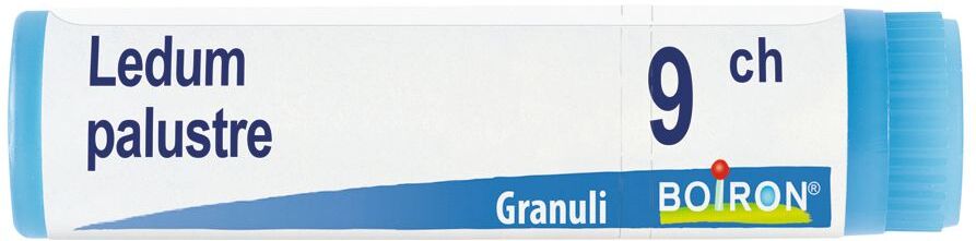 BOIRON Srl Ledum Palustre 9CH Globuli, 1 tubo