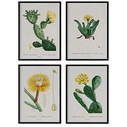 POSTER Set mit 4 gelber Pflanze aus dem Künstler Pierre Joseph Redouté A3 Rahmenlos