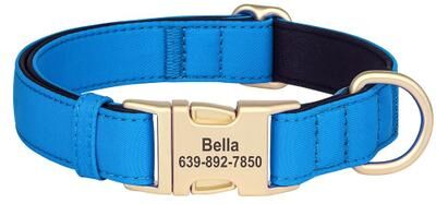 Inspire Essentials Personalized Waterproof Dog Collar With Soft Padding blue s