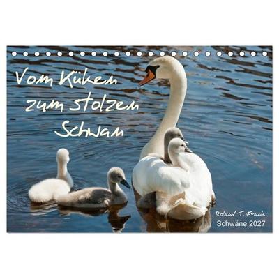 Vom Küken zum stolzen Schwan (Tischkalender 2027 DIN A5 quer), CALVENDO Monatskalender