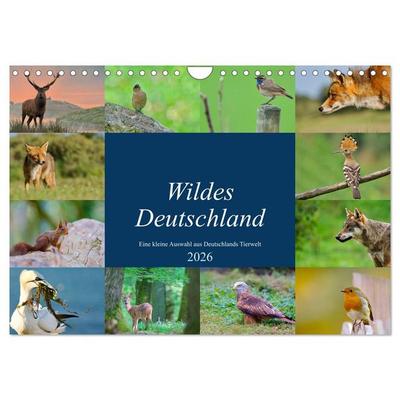 Wildes Deutschland (Wandkalender 2026 DIN A4 quer), CALVENDO Monatskalender