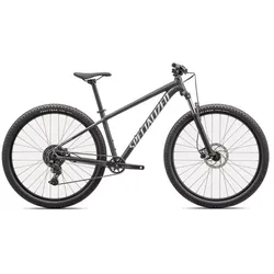 Specialized Mountainbike Rockhopper Sport 29 Satin Black Liquid Metal / White 20... - L - L
