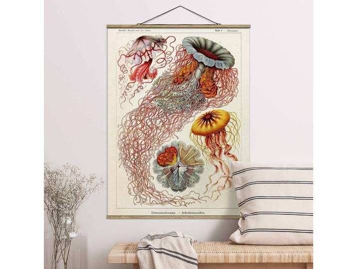 Stoffbild Vintage Lehrtafel Quallen I Webstoff Rot 80 x 107cm