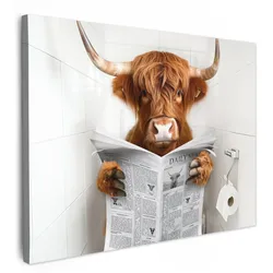 LEINWANDBILD Schottischer Highlander - Tier - Zeitung - Toilette Wanddeko Schlafzimmer 70x50 cm