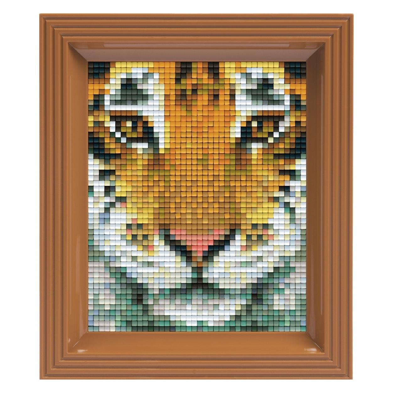 Pracht Pixelbild Stecksystem (64591065)