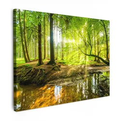LEINWANDBILD Wald - Landschaft - Wasser - Bäume - Sonne - Grün - Natur Wandbild 40x30 cm