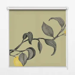 INNENROLLO - Fensterrollo - Rollo - 60x40 cm - Zitronen am Baum
