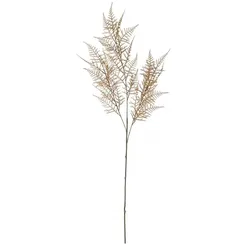 Spagelkraut   , beige , Kunstleder,Metall