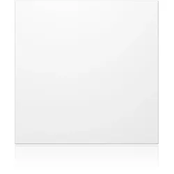 Ritto 1876670 Portier Blindmodul, weiß
