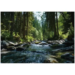 FOTOTAPETE Wald Fluss Grün 250x175 cm