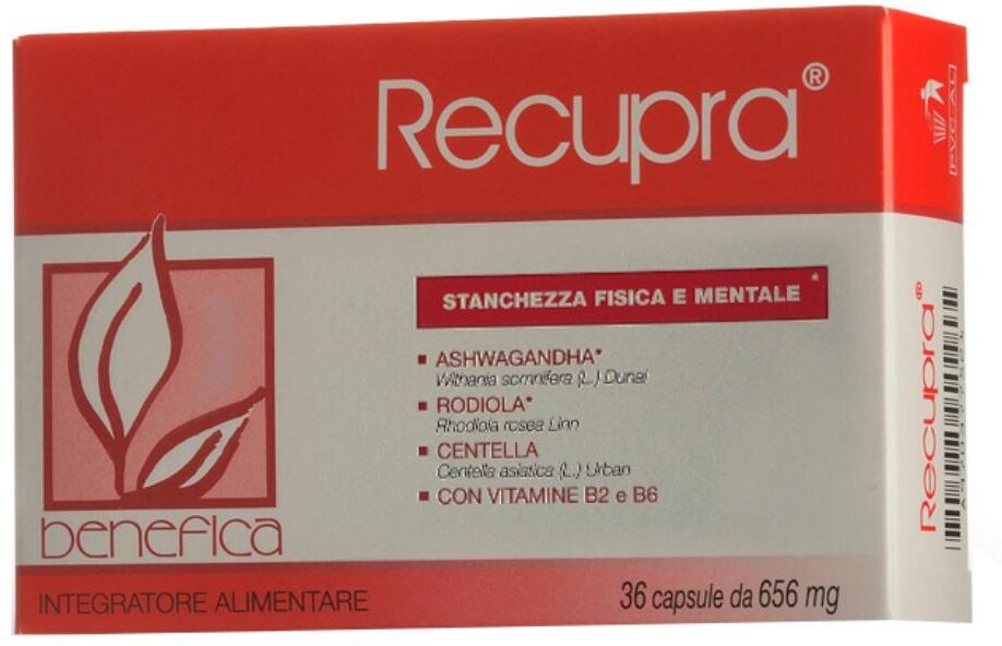 CONCESSIONARIA ITALIA Snc RECUPRA 36CPS VEGETALI