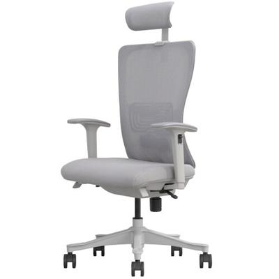 Ergonomischer Bürostuhl / Bürodrehstuhl mit Kopfstütze und Lendenwirbelstütze Business Chair, light grey (1 Stück)