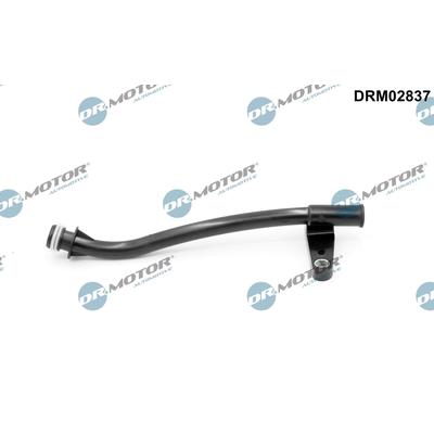 DR.MOTOR AUTOMOTIVE Trichter, Ölpeilstab DRM02837 für Ford