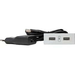 Kopp 939731017 VersaPICK, USB-Einbauset mit 2 USB-Anschlüssen, Ausführung: rechteckig, Kunststoff, Farbe: Aluminium