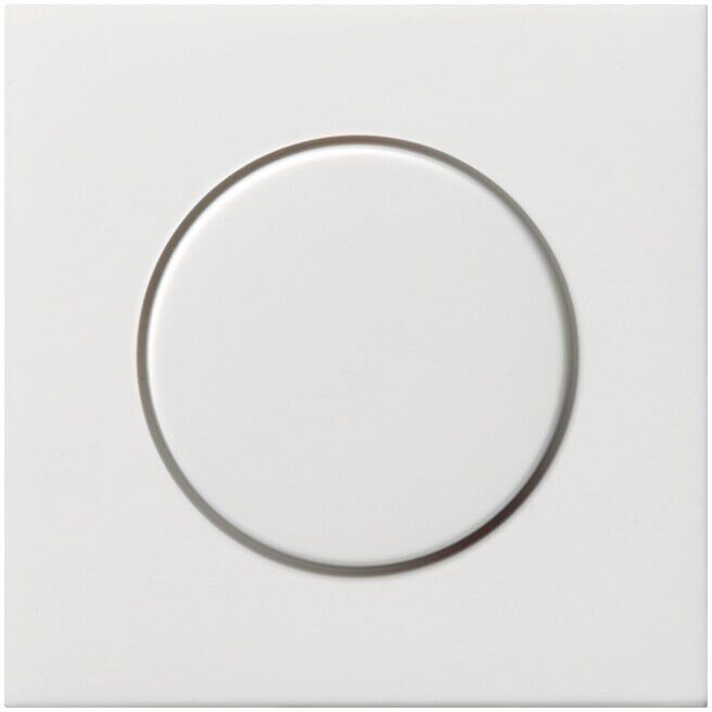Gira Plaque de variateur rws-gl 0650112 (0650112)