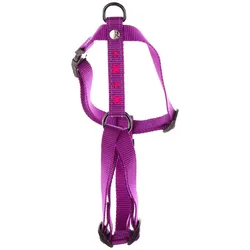 Martin Sellier Hunde-Geschirr Kreuz Nylon (L, Hund, Spazieren), Halsband + Leine