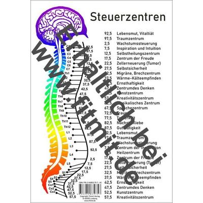 Steuerzentren Wirbelsäule, Zubehör von Tanja Aeckersberg, Aeckersberg, Ingrid, 978-3-940832-75-7