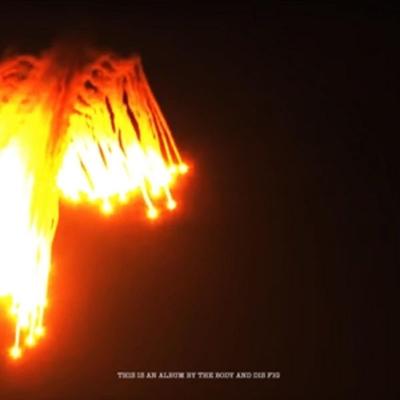 Orchards Of A Futile Heaven - The Body & Dis Fig, CD