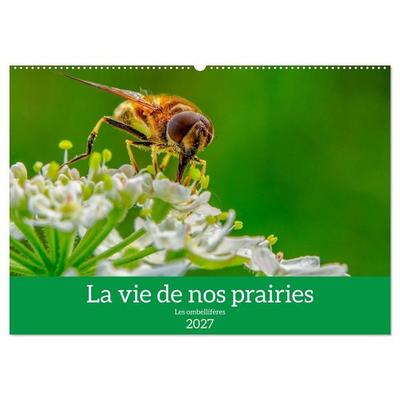 La vie de nos prairie, les ombellifères (Calendrier mural 2027 DIN A2 vertical), CALVENDO calendrier mensuel