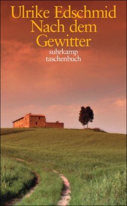 Ulrike Edschmid - Nach dem Gewitter - Preis vom 10.10.2026 11:48:34 h