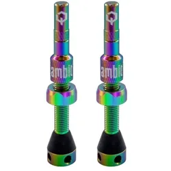 AMBIT Tubeless Ventil Set Realm | oilslick