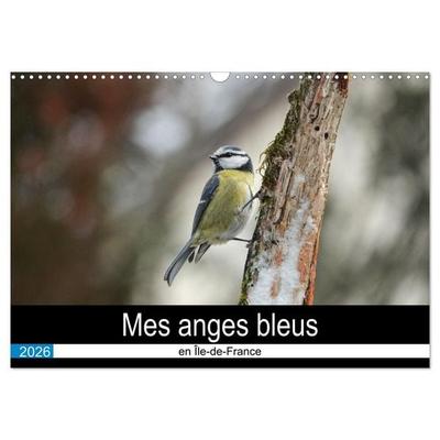 Mes anges bleus en Île-de-France (Calendrier mural 2026 DIN A3 vertical), CALVENDO calendrier mensuel