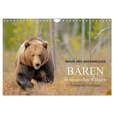 Magie des Augenblicks - Bären in nordischen Wäldern (Wandkalender 2027 DIN A4 quer), CALVENDO Monatskalender