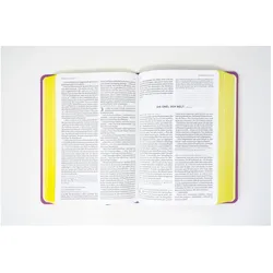 Die Bibel. Senfkorn, Handschmeichler lila, Fachbücher von Österreichs Bischöfe Deutschlands