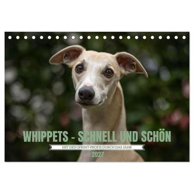 WHIPPETS - SCHNELL UND SCHÖN (Tischkalender 2027 DIN A5 quer), CALVENDO Monatskalender