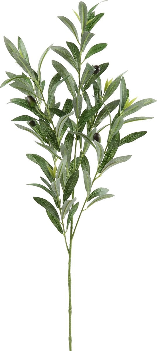 Countryfield Olijftak Olea Groen - 90 cm