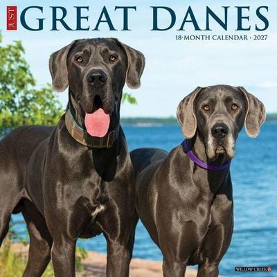 Great Danes 2027 12 X 12 Wall Calendar