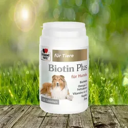 Doppelherz Biotin Plus 120 Tabl. - zur Unterstützung von Haut und Fell