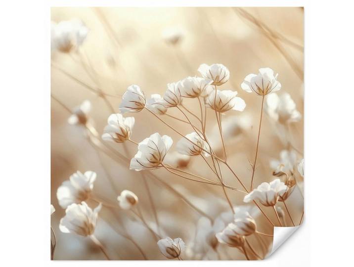 OnlyWow Tapete - Wild - Blumen - Weiß - 260x240 cm, Creme, Papier, Rechteckig, 260x240 cm, Tapeten & Wandverkleidungen, Vliestapeten