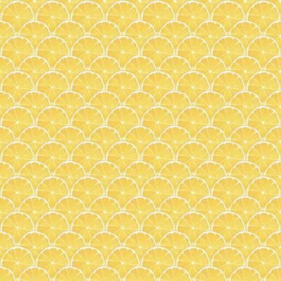 Galerie Wallcoverings Just Kitchens Lemon Scallop Design Vinyl on Non-woven Matte Wallpaper Roll